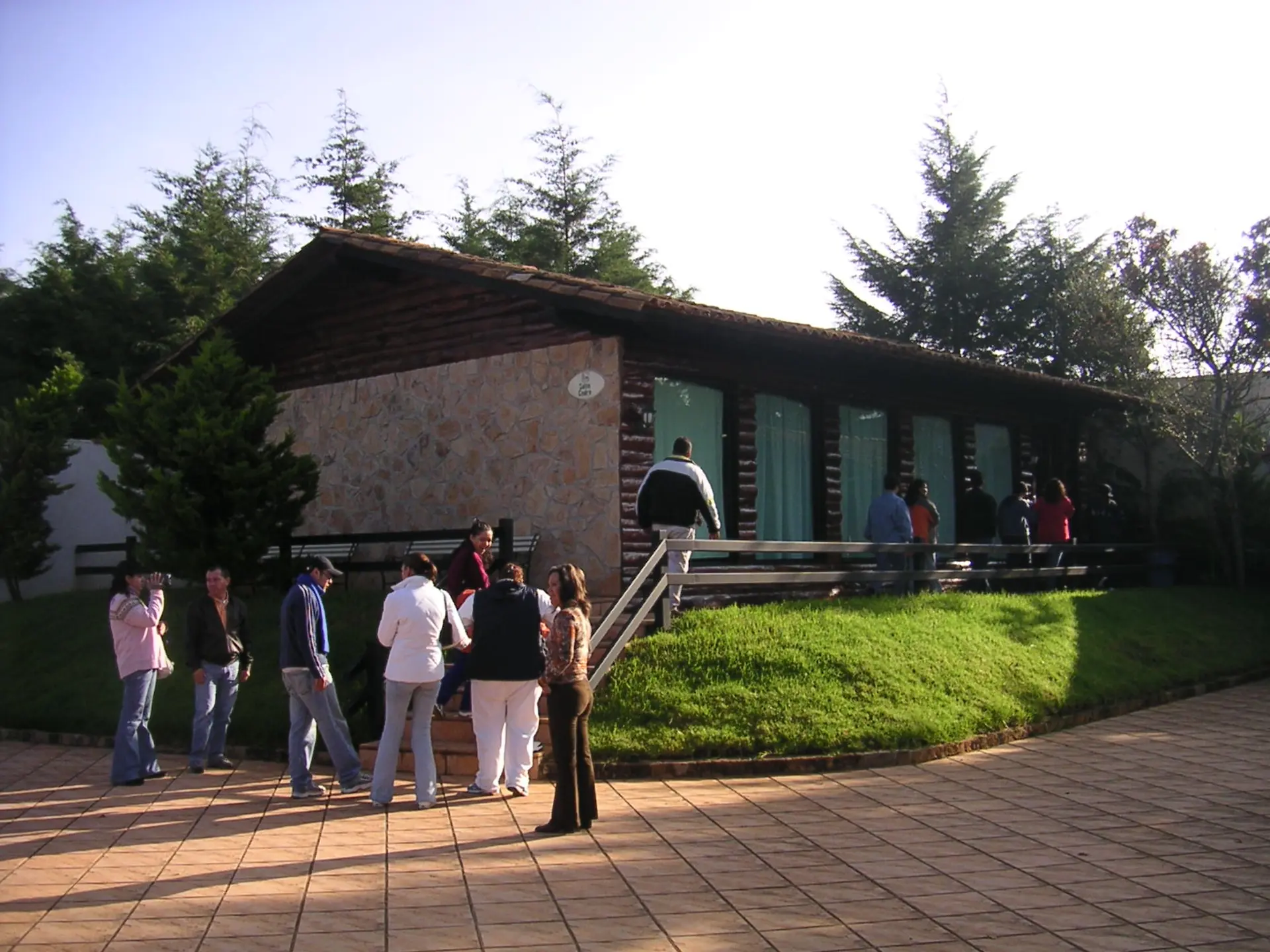 cedro6